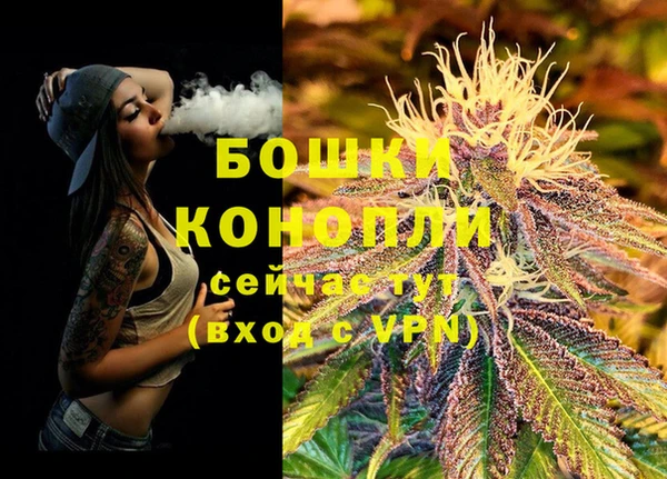 apvp Костерёво