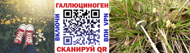 площадка телеграм  Полярный  Галлюциногенные грибы MAGIC MUSHROOMS 